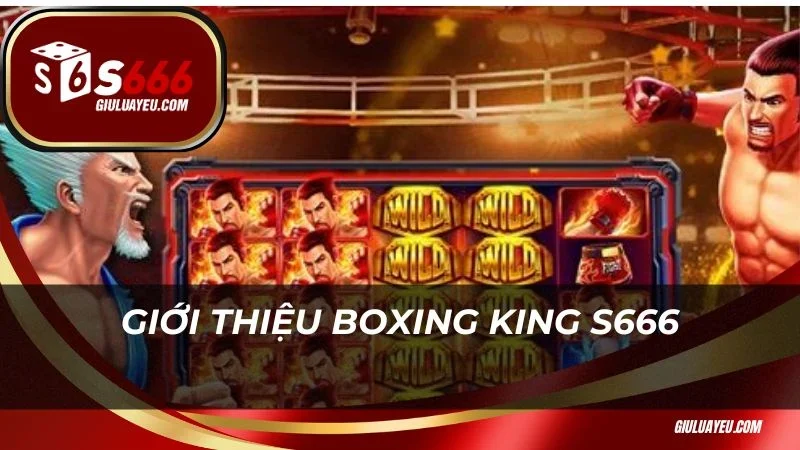 Boxing King S666 Giới thiệu Boxing King S666