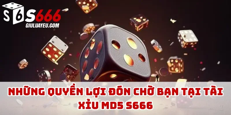 Những quyền lợi đón chờ bạn tại tài xỉu MD5 S666